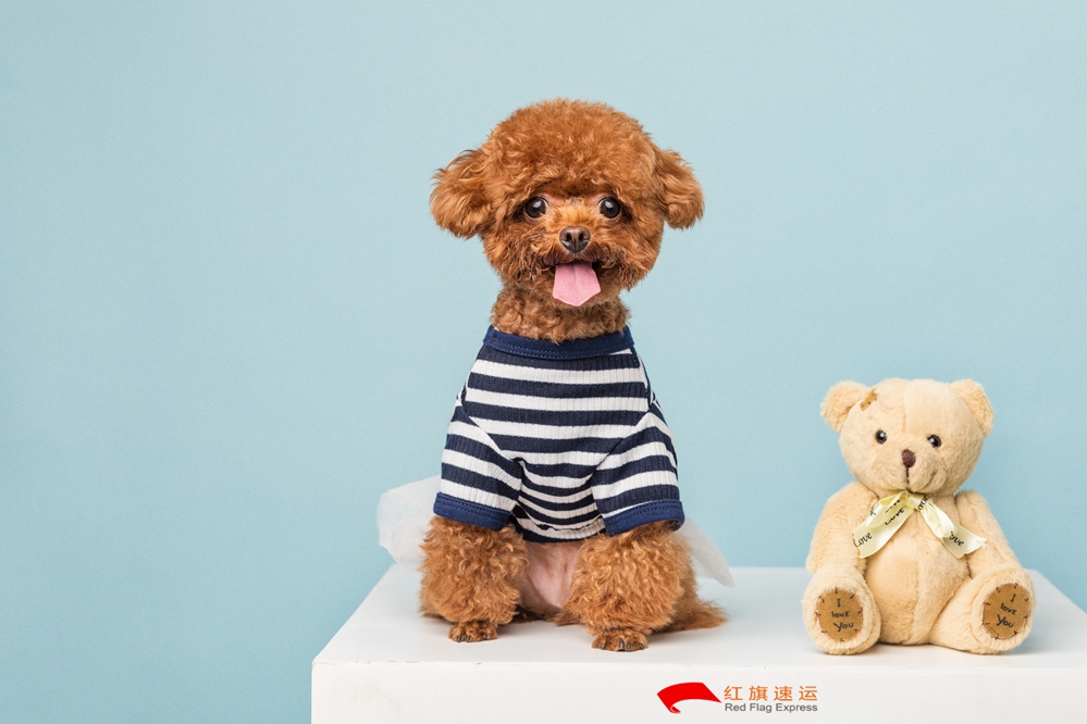 玩具香港進口清關