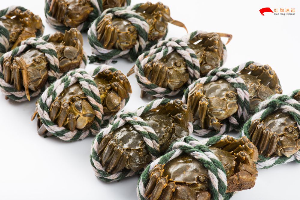 美國空運(yùn)專線 美國空運(yùn)專線